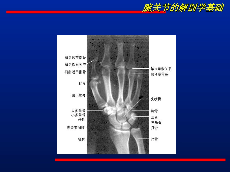 腕关节不稳的诊治_第3页
