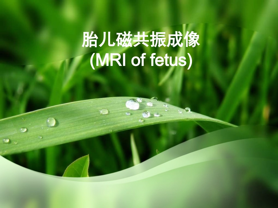 胎儿磁共振成像_第1页