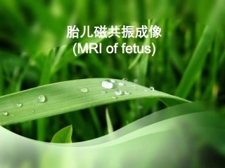 胎儿磁共振成像