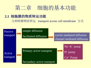 细胞的基本功能