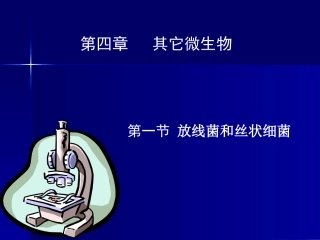 第四章 其它微生物