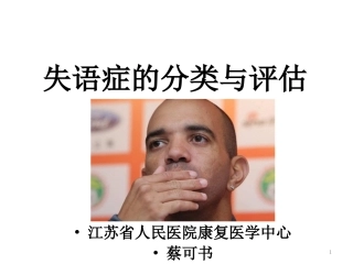 失语症分类和评估