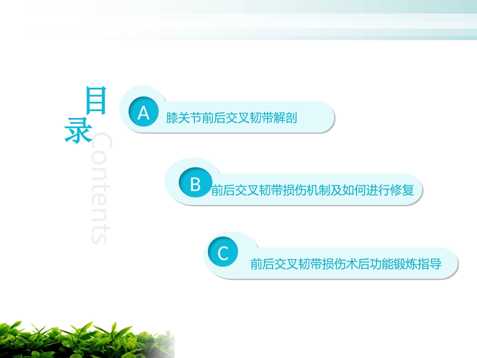 前后交叉韧带术后功能锻炼_第2页