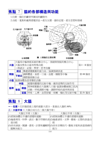 脑的各部构造与功能