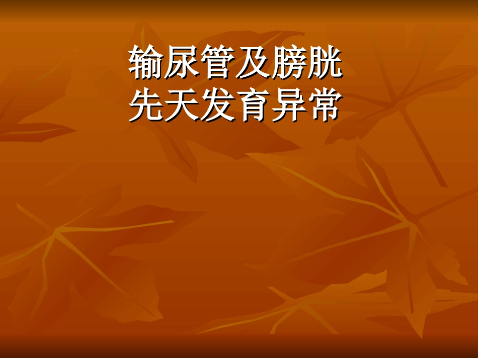 输尿管及膀胱先天异常_第1页