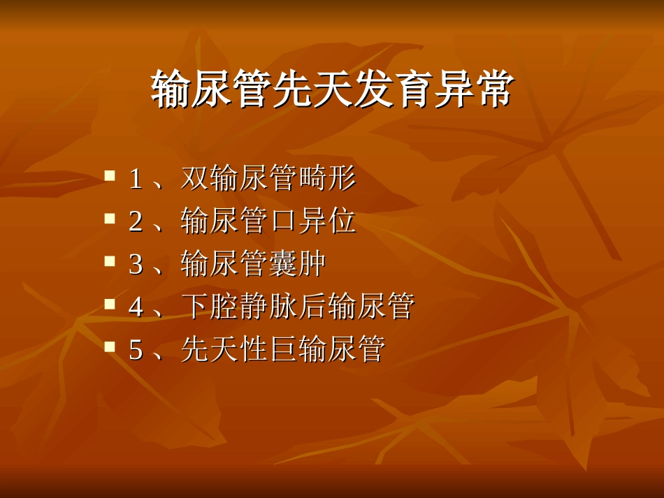 输尿管及膀胱先天异常_第2页