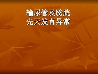 输尿管及膀胱先天异常