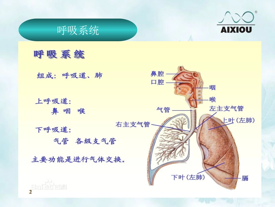 排痰机简介临床版_第3页