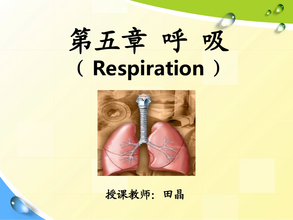 第五章-呼吸(护理本科)-改后2_第1页