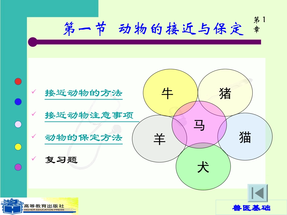 第1章 一般临床检查_第3页