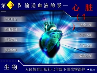 输送血液的泵—心脏(正式)