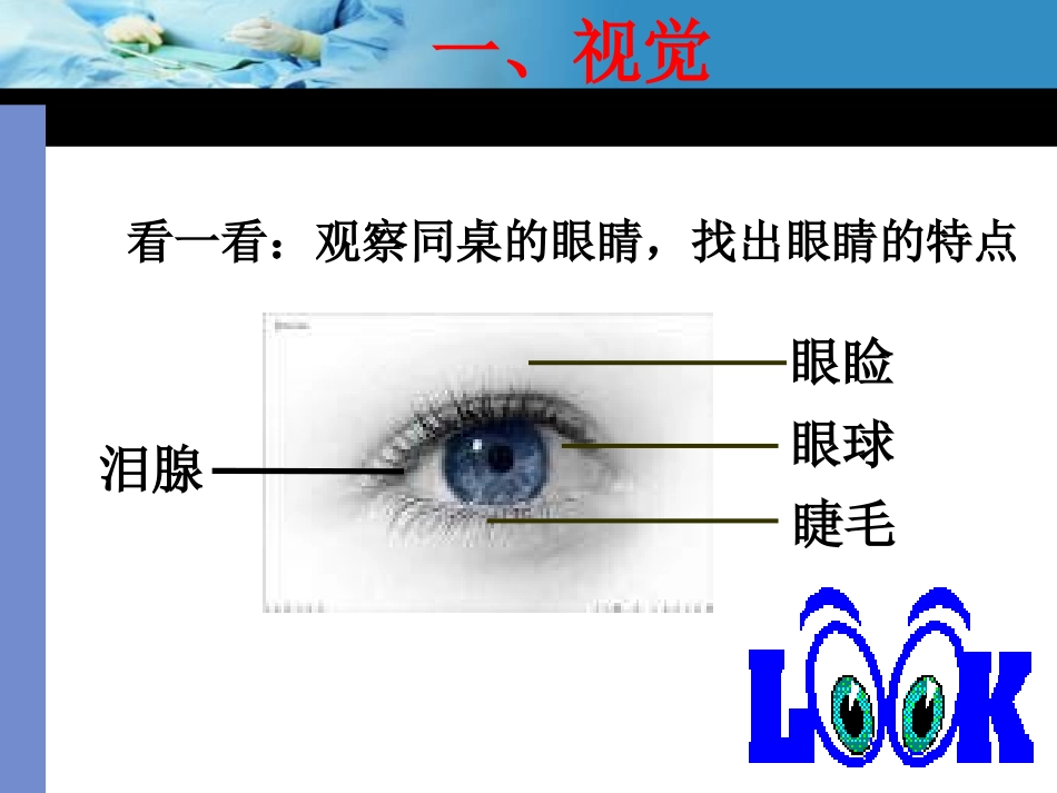 感觉和感觉器官_第3页
