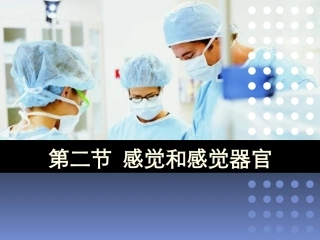 感觉和感觉器官