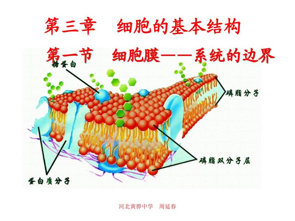细胞膜-系统的边界_第1页