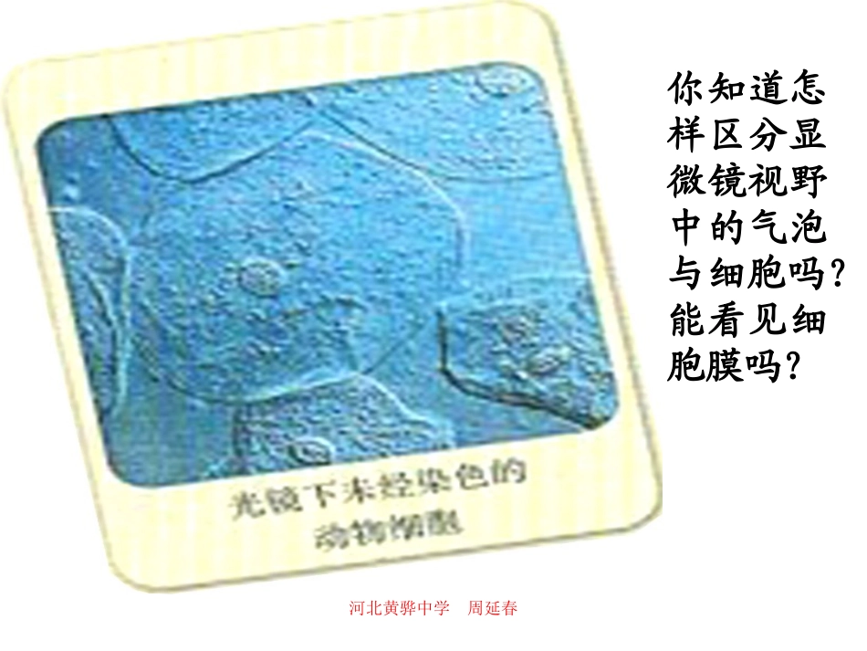 细胞膜-系统的边界_第2页