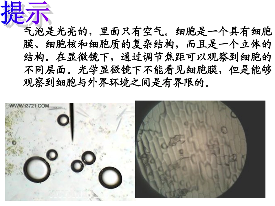 细胞膜-系统的边界_第3页