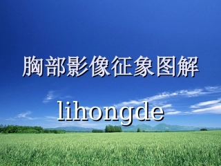 胸部CT影像征象图解-(1)