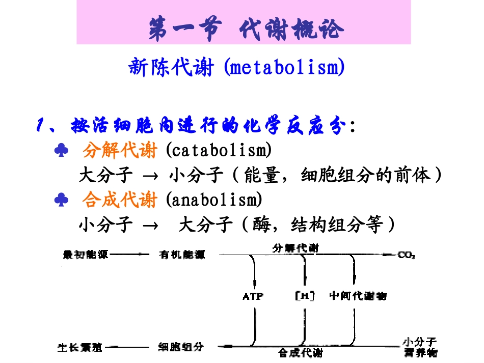 第六章 微生物的代谢_第3页
