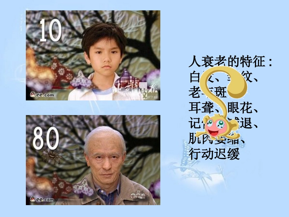 细胞的衰老和凋亡.ppt分析_第3页