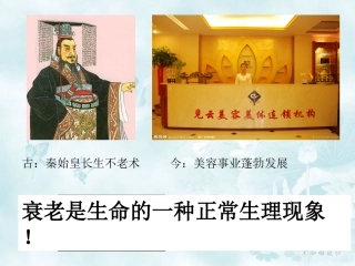 细胞的衰老和凋亡.ppt分析