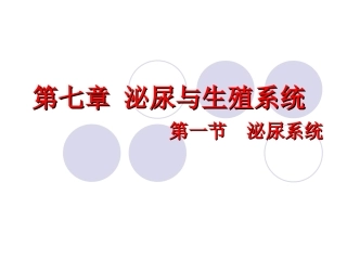 泌尿生殖系统影像