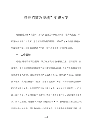 精准招商攻坚战实施方案