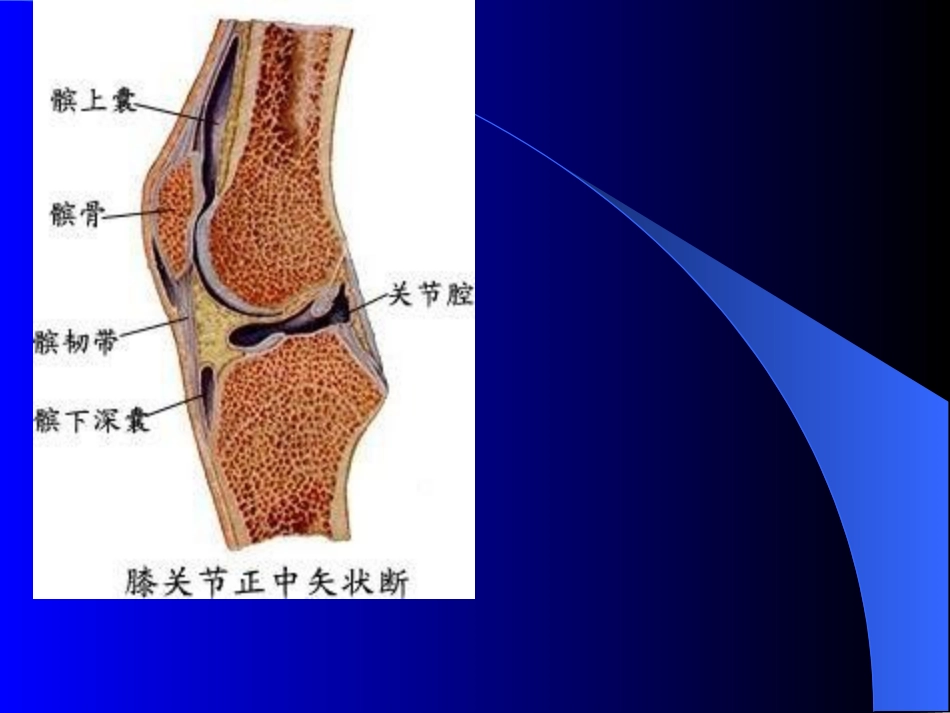 膝关节MRI检查_第2页