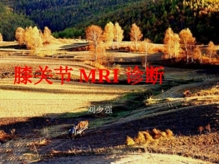 膝关节MRI检查
