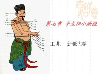 第七章  手太阳小肠经