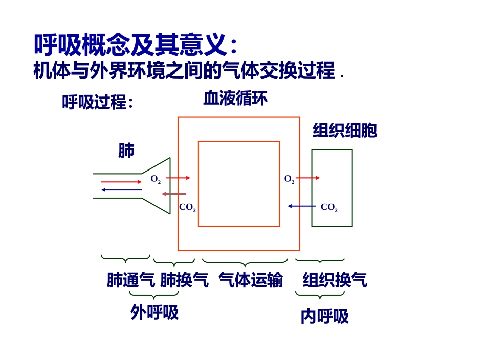 呼吸机基础知识笔记_第2页