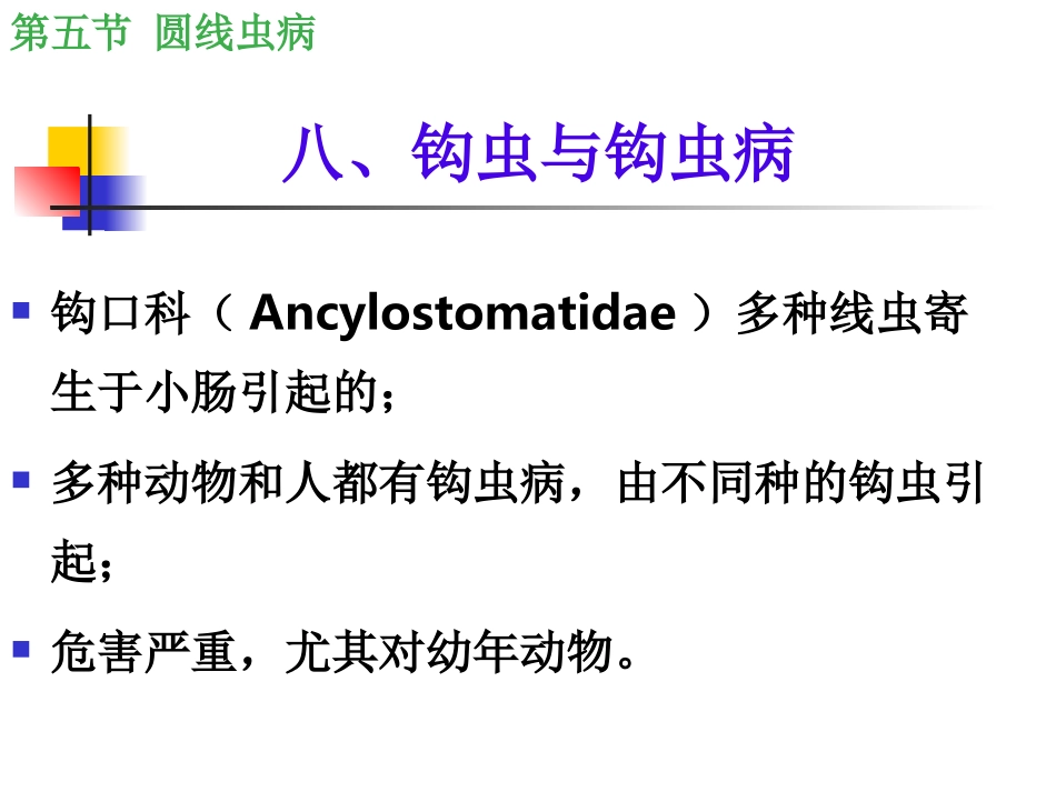 八、钩虫与钩虫病_第1页
