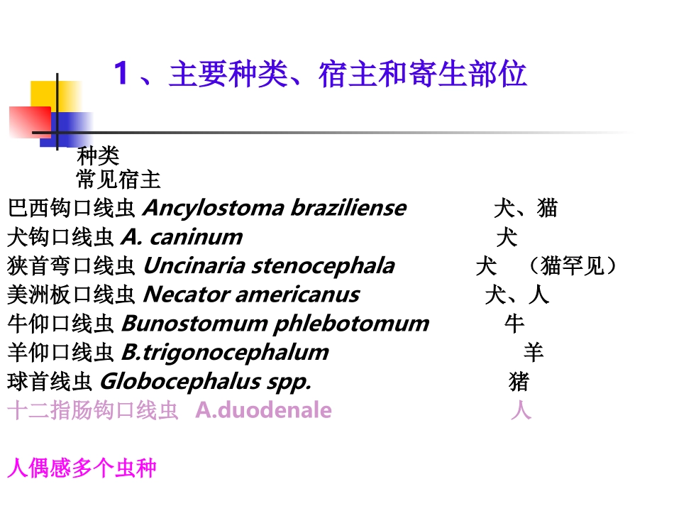 八、钩虫与钩虫病_第2页