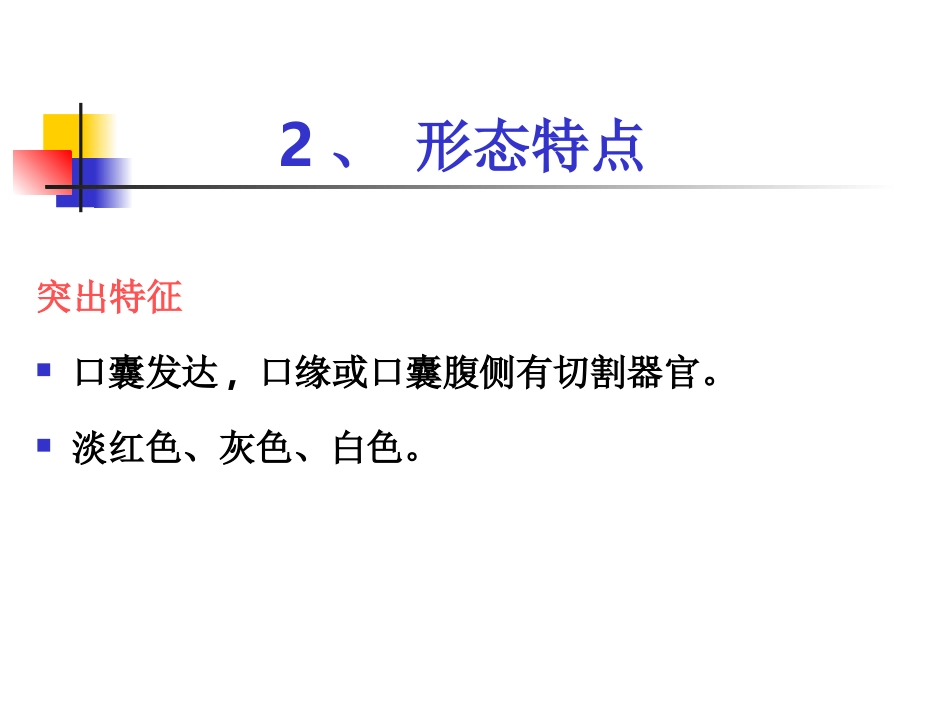 八、钩虫与钩虫病_第3页