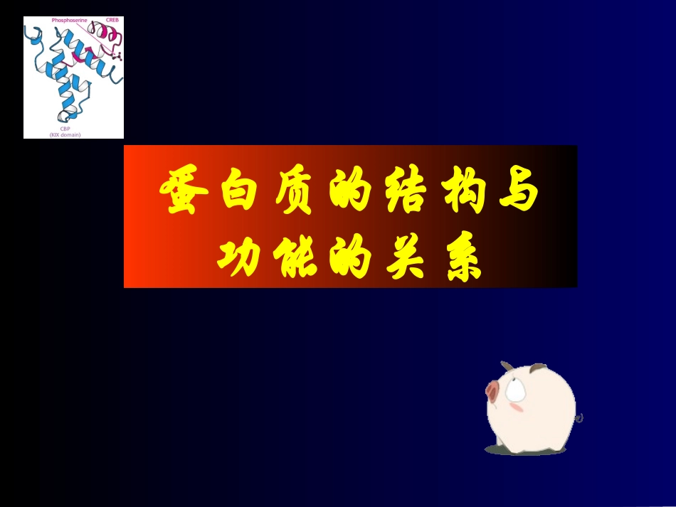 蛋白质的结构与功能_第1页