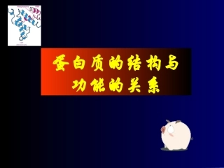 蛋白质的结构与功能