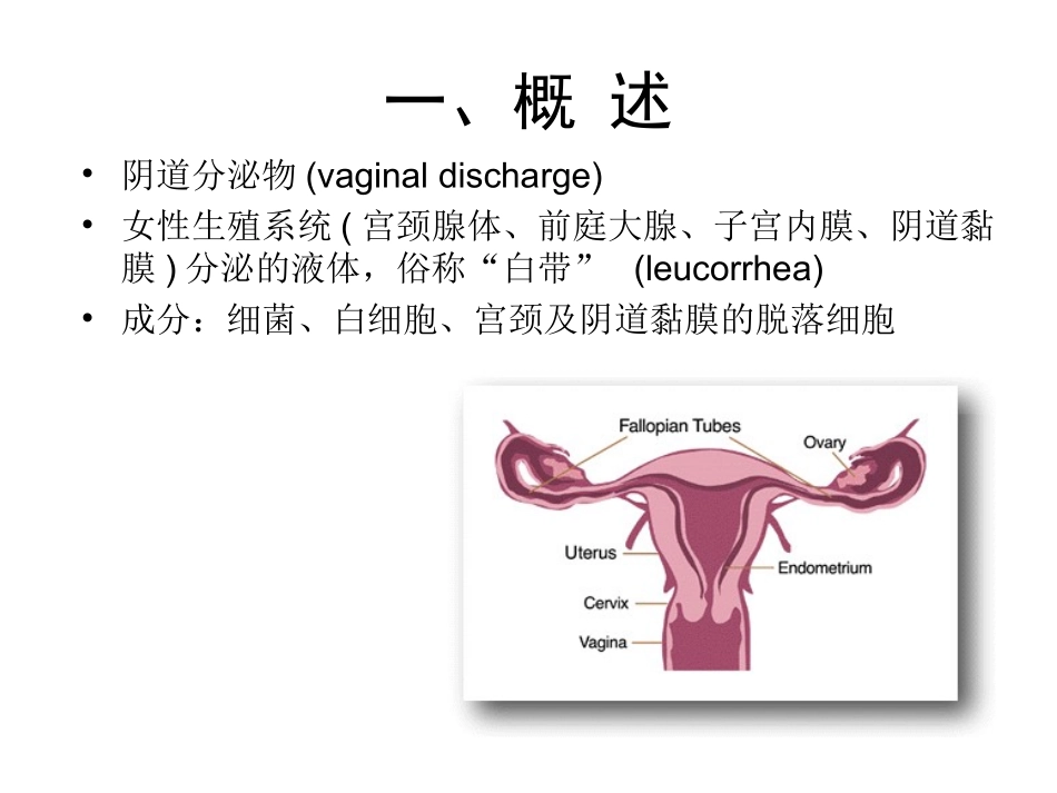 学时-生殖系统体液血糖血脂_第2页