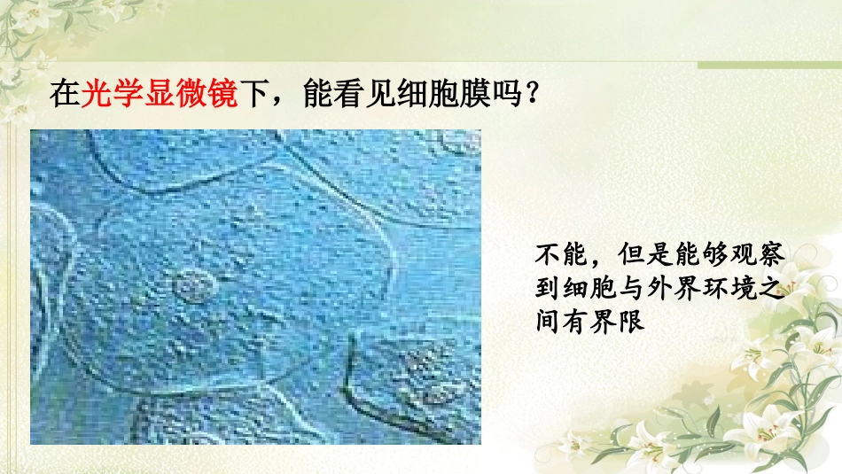 细胞膜-市级公开课_第2页