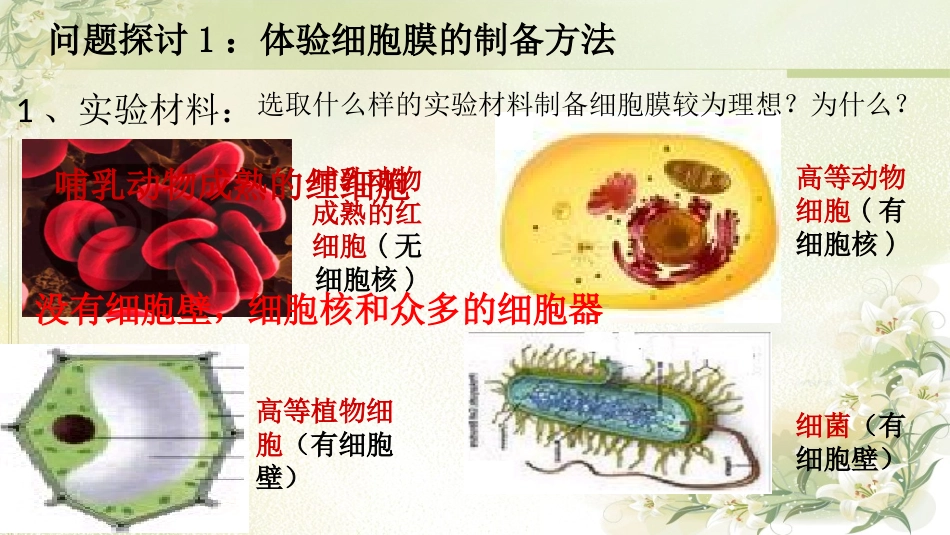 细胞膜-市级公开课_第3页