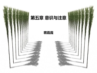 第五章 意识和注意