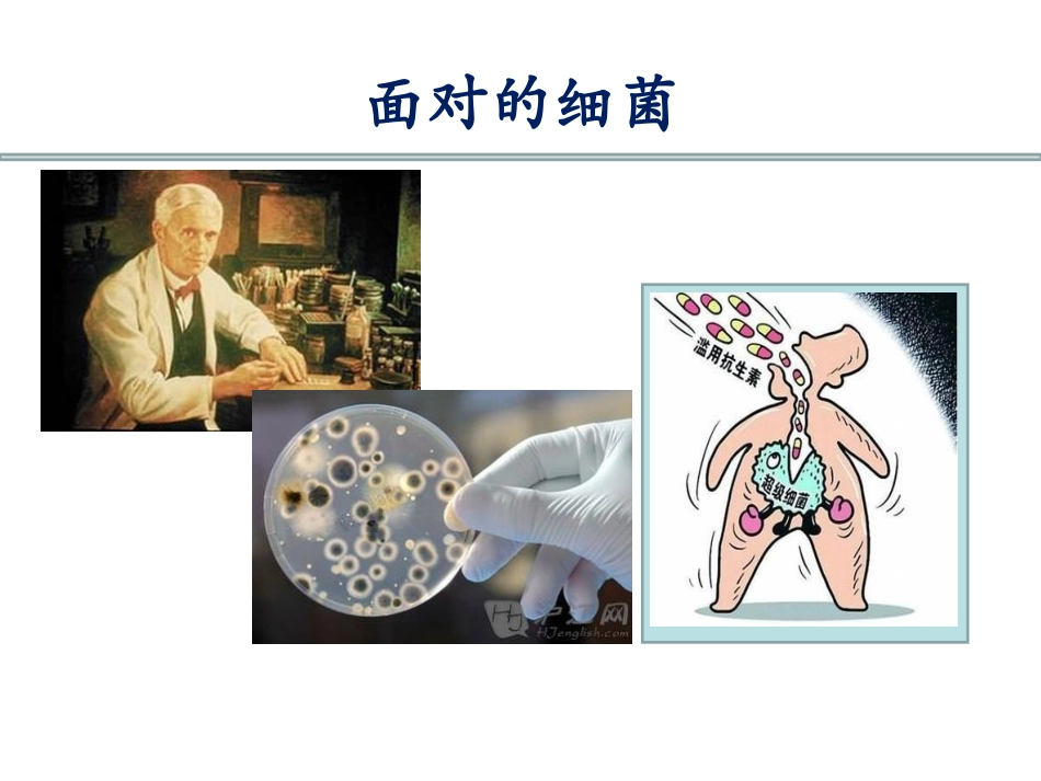 从呼吸医生角度谈碳氢酶烯类抗生素的合理使用_第3页