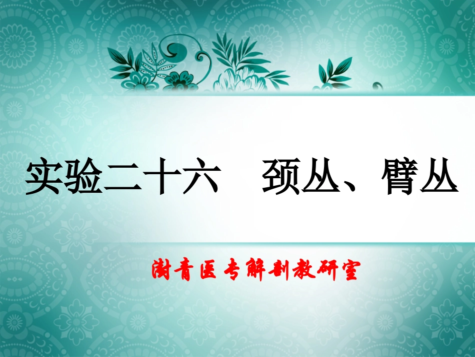 实验二十六  颈丛、臂丛_第1页