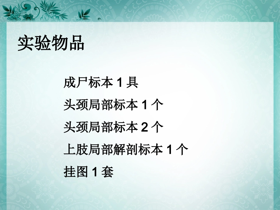 实验二十六  颈丛、臂丛_第2页