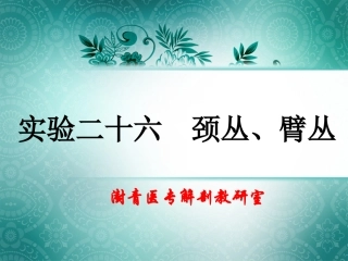 实验二十六  颈丛、臂丛