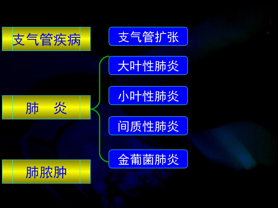 肺部炎性病变_第2页