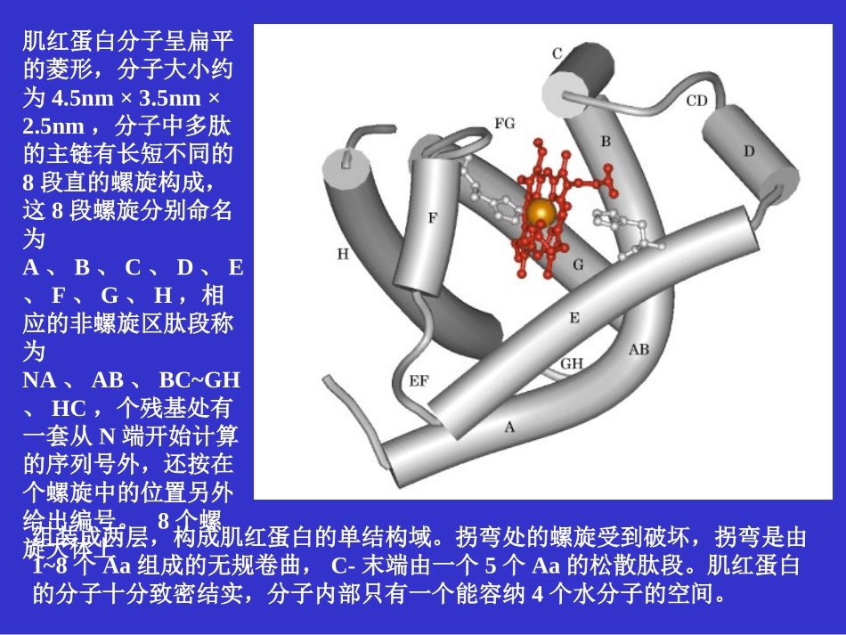 兰大分子课件_第3页