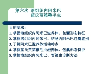 第六次：溶组织内阿米巴 、蓝氏假第鞭毛虫