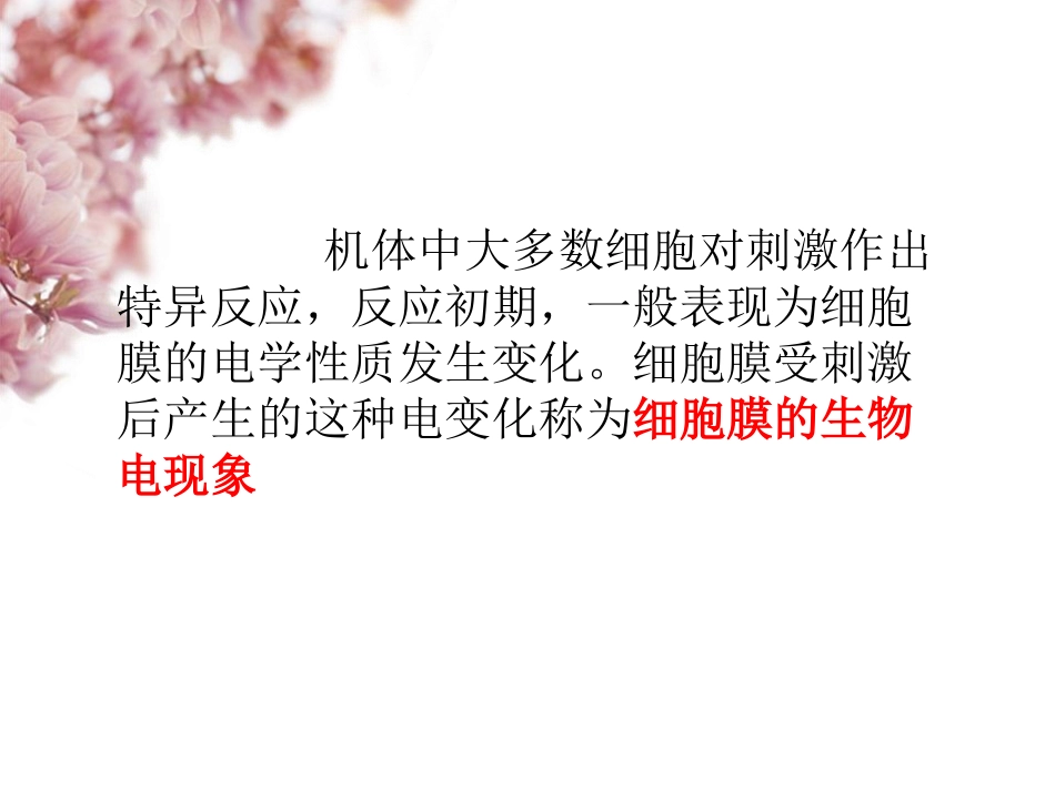 第三章 神经元的兴奋和传导_第2页