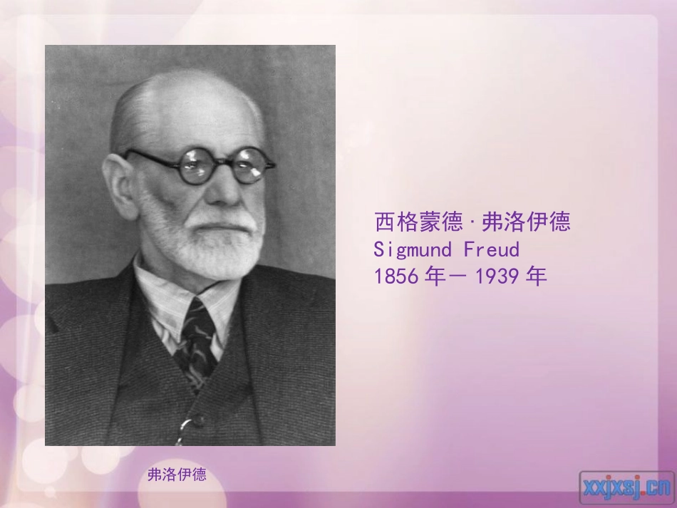 关于弗洛伊德精神分析_第2页