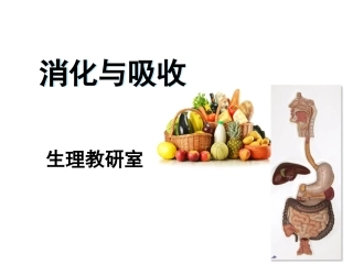 护理本科三版2015消化与吸收 -