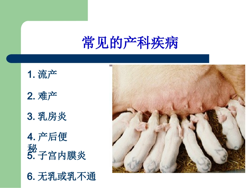 母猪产科疾病_第2页